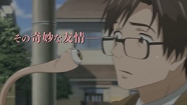 kiseidzu-sei-no-kakuricu