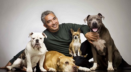 dog-whisperer-with-cesar-millan
