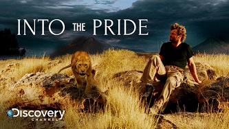 into-the-pride