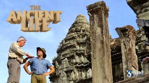 the-ancient-life