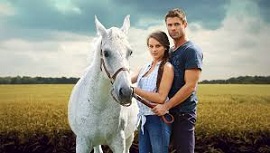 wild-horses